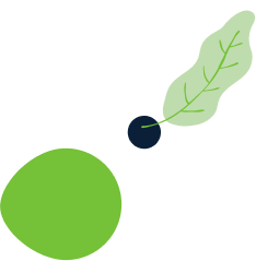 about-1-leaf-rtl